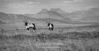 Environmental Photographer South Africa