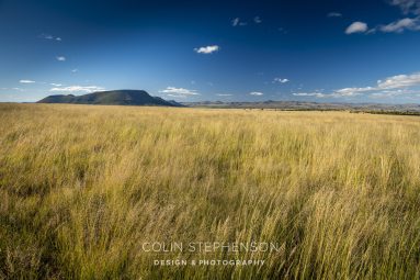 Professional Photography for African Lodges & Safari Destinations
