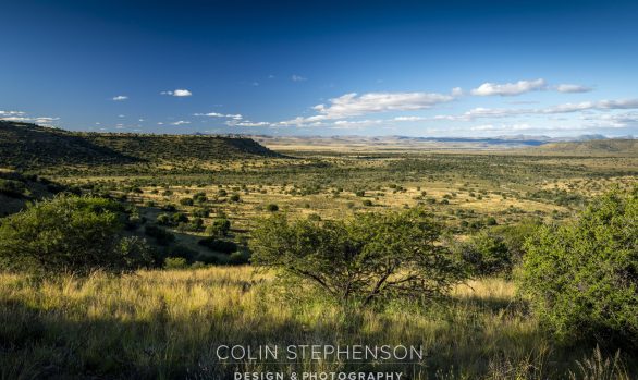 Professional Photography for African Lodges & Safari Destinations